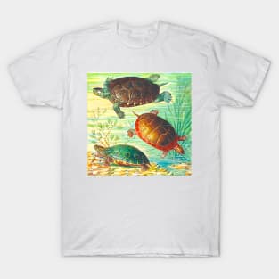 Turtles Turtles and Ocean T-Shirt